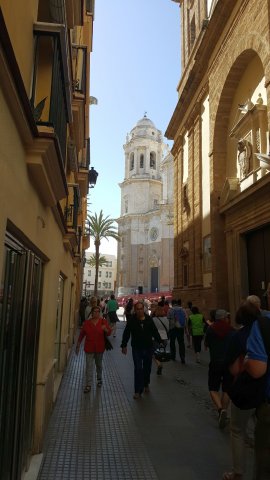 954 cadiz